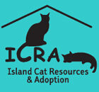 Island Cat Resources and Adoption