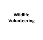 Wildlife Volunteering